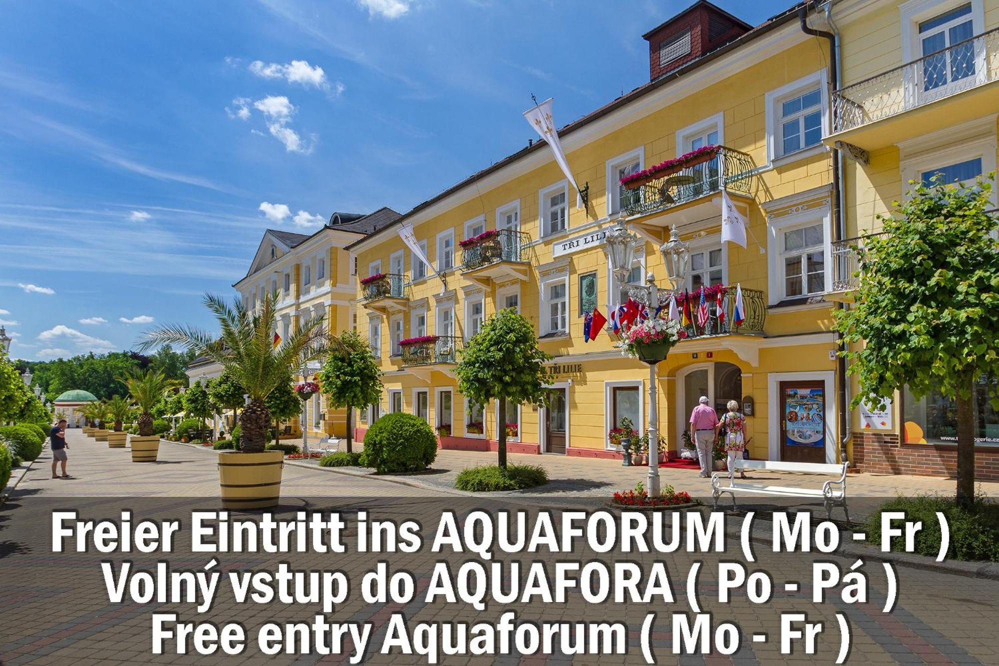 Hotel Three Lilies Inkl Aquaforum Františkovy Lázně Екстериор снимка